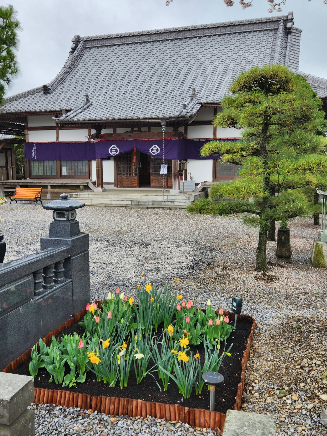 2023 - 時宗 小山 新善光寺